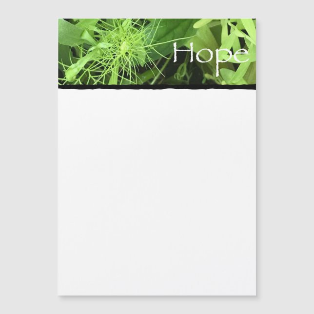 Tarjeta magnética de esperanza (Anverso)