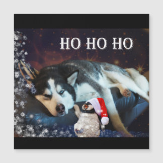 Tarjeta magnética de Husky Humbug Navidades