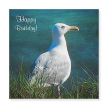 Tarjeta magnética de la gaviota de cumpleaños feli