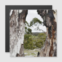 Tarjeta magnética de la ventana de la naturaleza