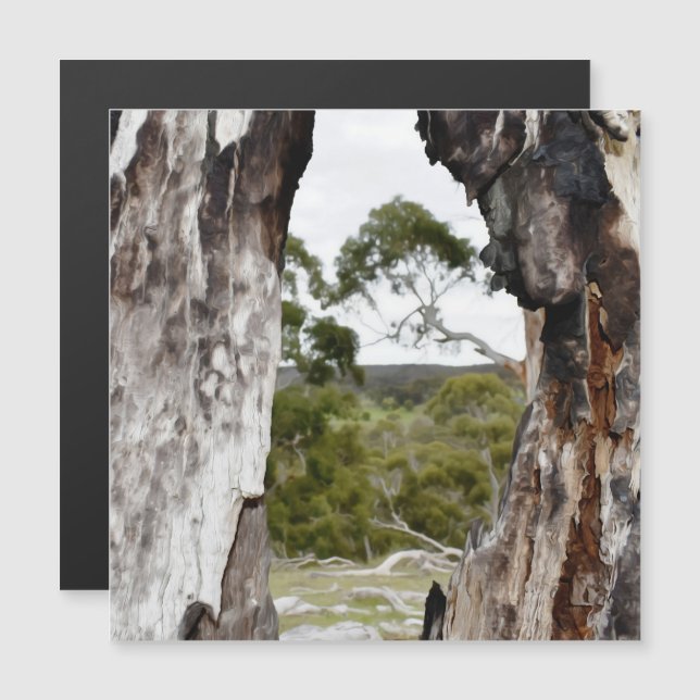 Tarjeta magnética de la ventana de la naturaleza (Anverso/Reverso)