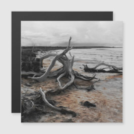 Tarjeta magnética de las fuerzas naturales del lag