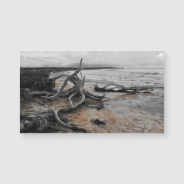 Tarjeta magnética de las fuerzas naturales del lag