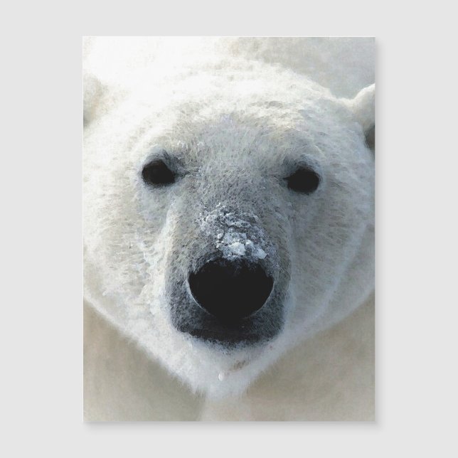 Tarjeta Magnética de Oso Polar (Anverso)