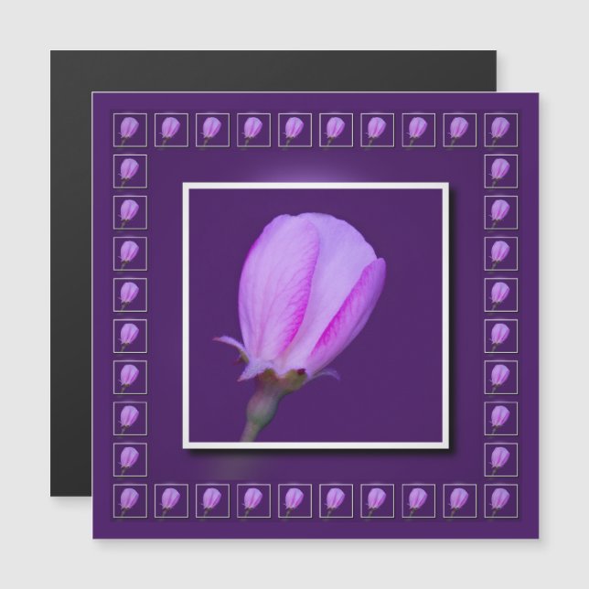Tarjeta magnética de primavera rosada y morada (Anverso/Reverso)