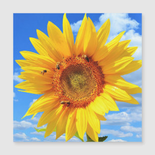Tarjeta Magnética de Verano con Girasol Amarillo