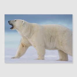 Tarjeta magnética del oso polar