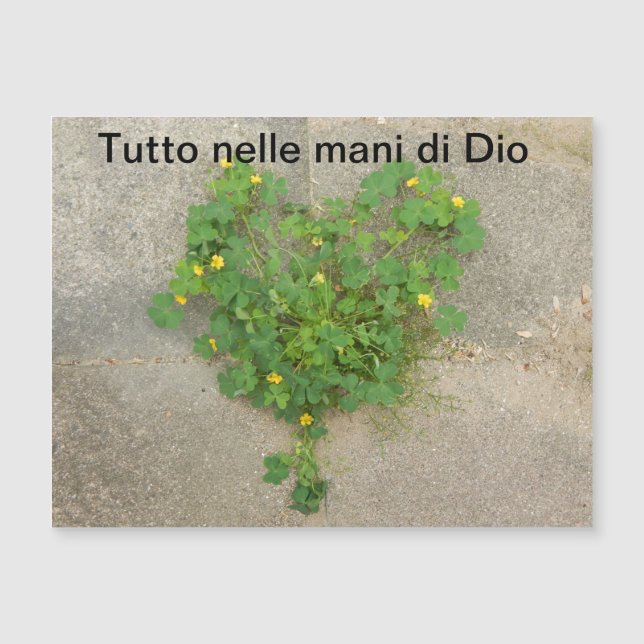 Tarjeta magnética, espiritual (Anverso)