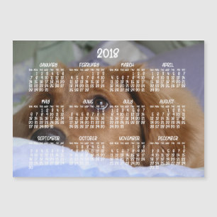 Tarjeta magnética Golden Retriever Calendar 2018 5