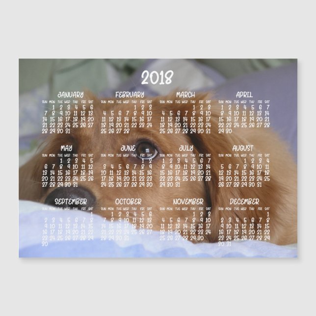 Tarjeta magnética Golden Retriever Calendar 2018 5 (Anverso)