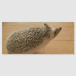 Tarjeta magnética Hedgehog