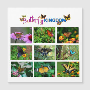 Tarjeta magnética mundial de mariposa