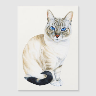 Tarjeta magnética para gatos Lynx Point Siamese