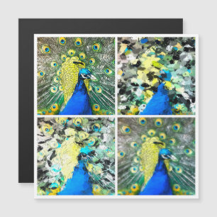 Tarjeta magnética Peacock Art