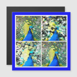 Tarjeta magnética Peacock Art