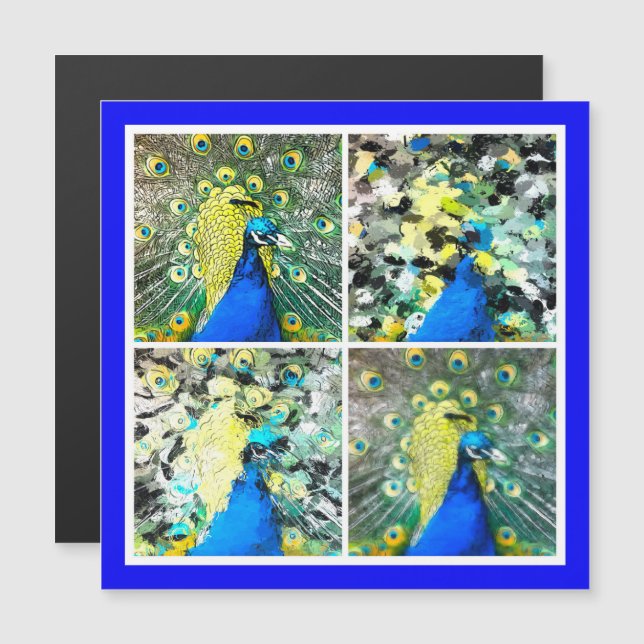 Tarjeta magnética Peacock Art (Anverso/Reverso)