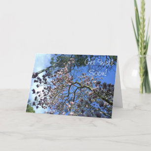 Tarjeta Magnolia