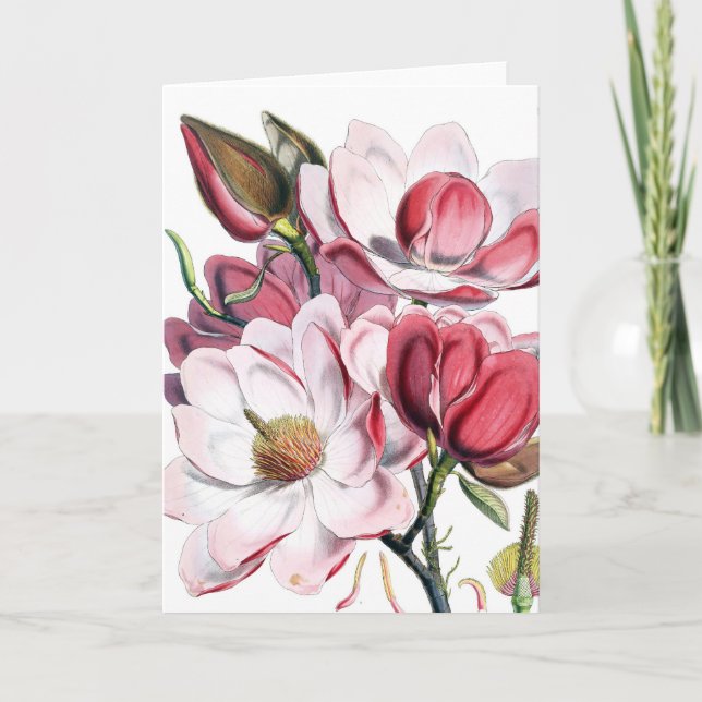 Tarjeta Magnolia (Anverso)