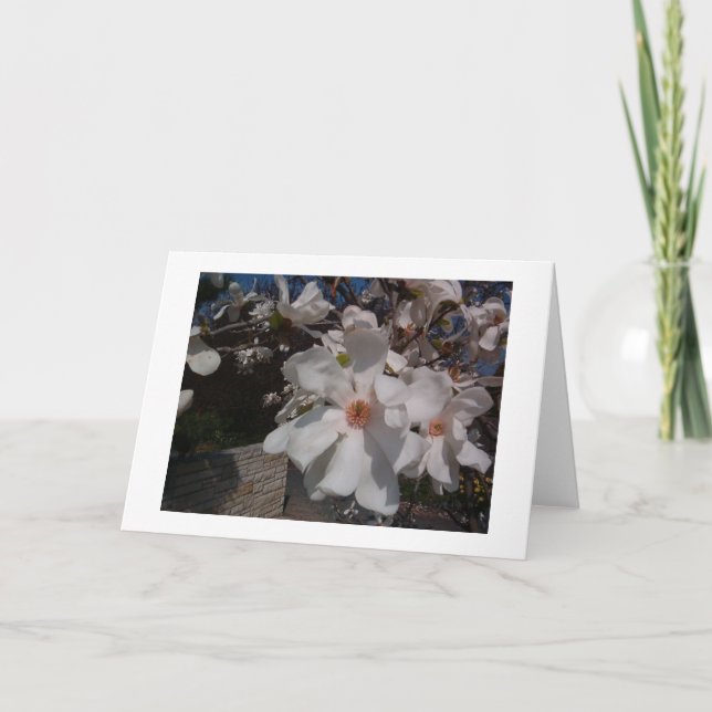Tarjeta Magnolia (Anverso)