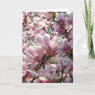 Tarjeta Magnolia