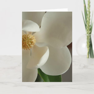Tarjeta magnolia 2