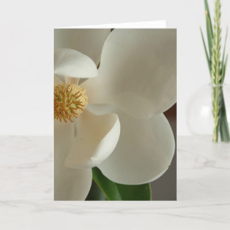 Tarjeta magnolia 2