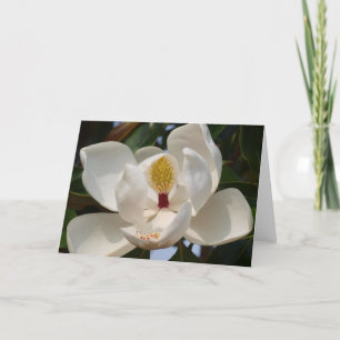 Tarjeta Magnolia 72