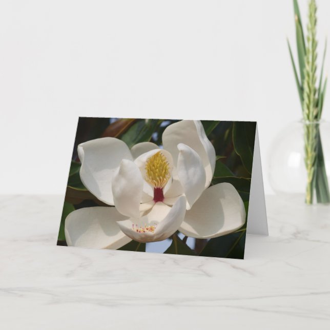 Tarjeta Magnolia 72 (Anverso)