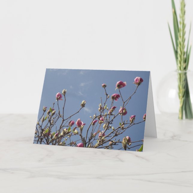 Tarjeta Magnolia Blank Greeting (Anverso)