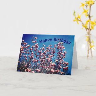 Tarjeta Magnolia Blossoms Blue Sky Flower Cumpleaños