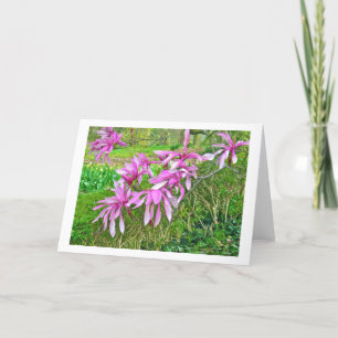 Tarjeta Magnolia Blossoms (fotografía)