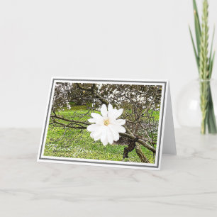 Tarjeta Magnolia brillante Estrella Blanca contra la oliga