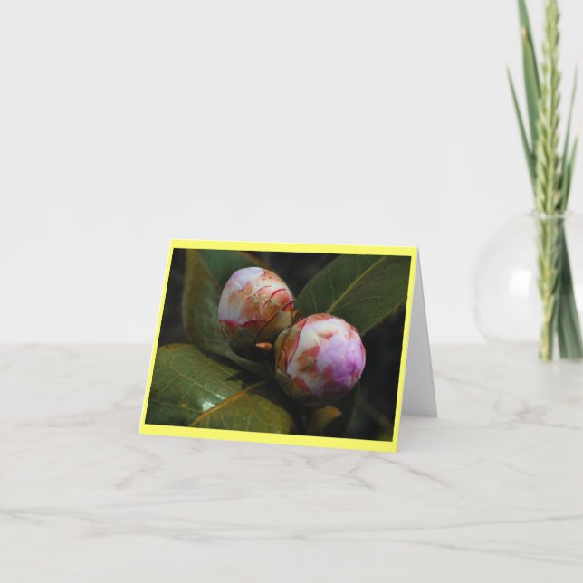 Tarjeta Magnolia Buds (Anverso)