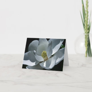 Tarjeta Magnolia - Card