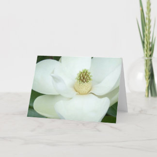 Tarjeta Magnolia magnificada