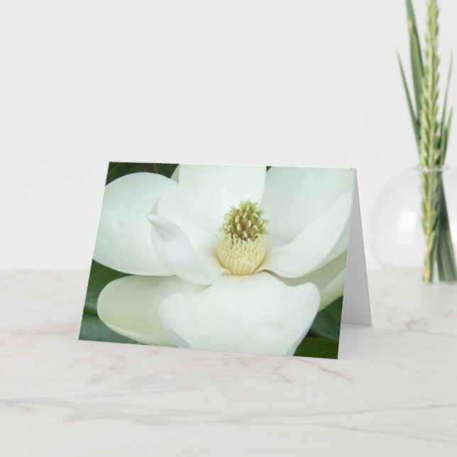 Tarjeta Magnolia magnificada (Anverso)