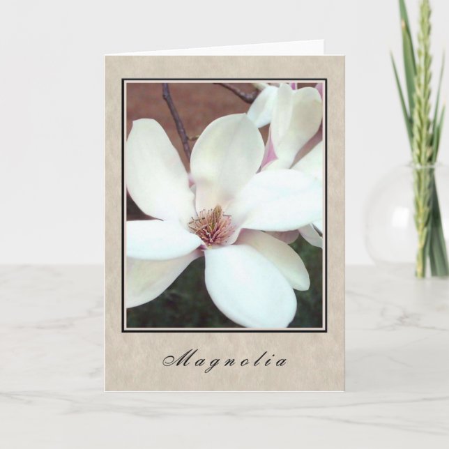 Tarjeta Magnolia - Serie floral (Anverso)