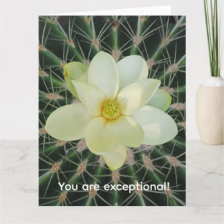 Tarjeta magnolia sweetbay
