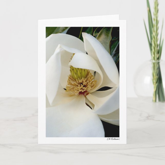 Tarjeta Magnolia Swirl (Anverso)