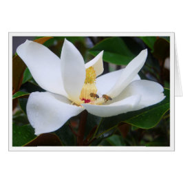 Tarjeta Magnolia y abejas