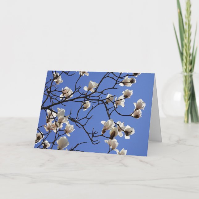 Tarjeta Magnolias florecientes (Anverso)