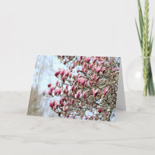 Tarjeta Magnolias rosadas