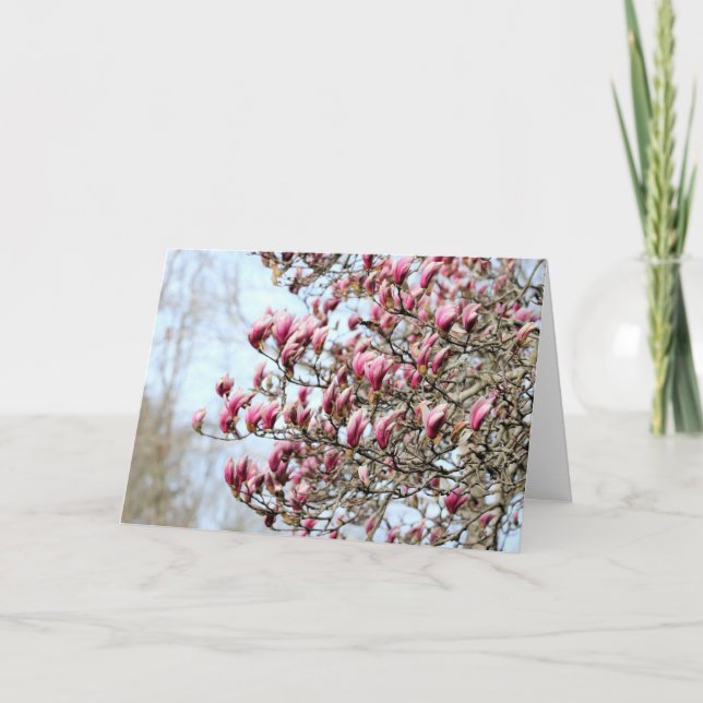 Tarjeta Magnolias rosadas (Anverso)