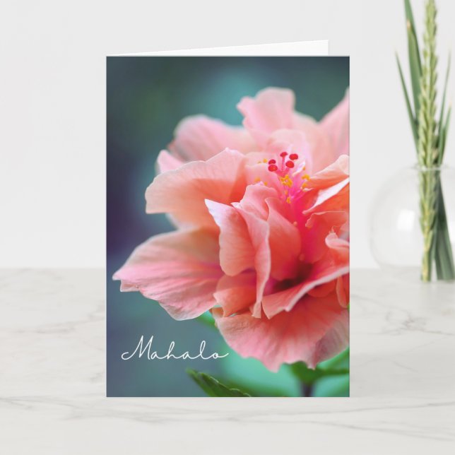 Tarjeta Mahalo Gracias a Hawaiian Pink Hibiscus Close up (Anverso)