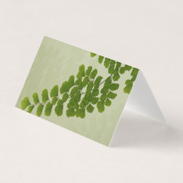 Tarjeta Maiden Hair Fern Frond