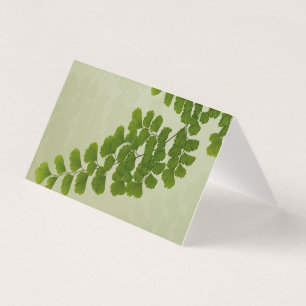 Tarjeta Maiden Hair Fern Frond