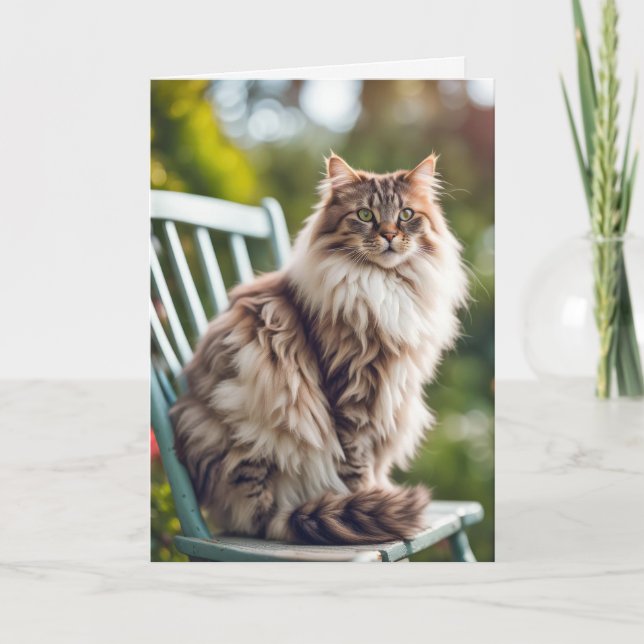 Tarjeta Maine Coon Cat en la silla de cumpleaños (Anverso)