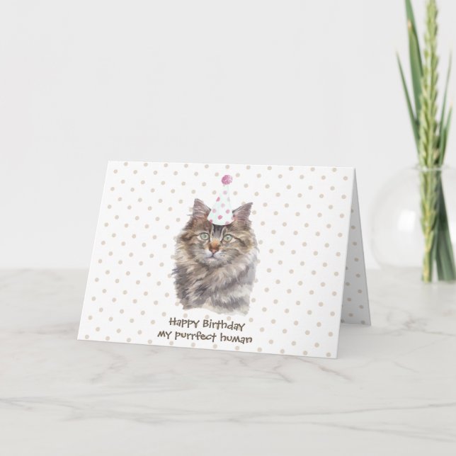 Tarjeta Maine coon Cat party en celebración de cumpleaños (Anverso)