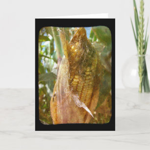 Tarjeta Maíz en la mazorca