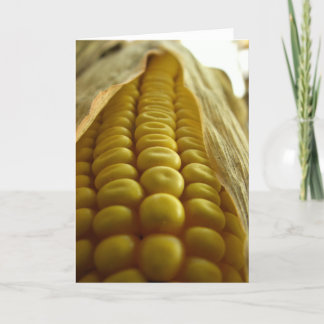 Tarjeta Maíz Greetingcard ascendente cercano